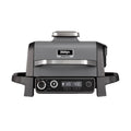 Woodfire Electric BBQ Grill & Smoker