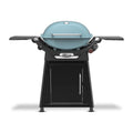 Q 2800N+ w/Cart 2 Burner Grill