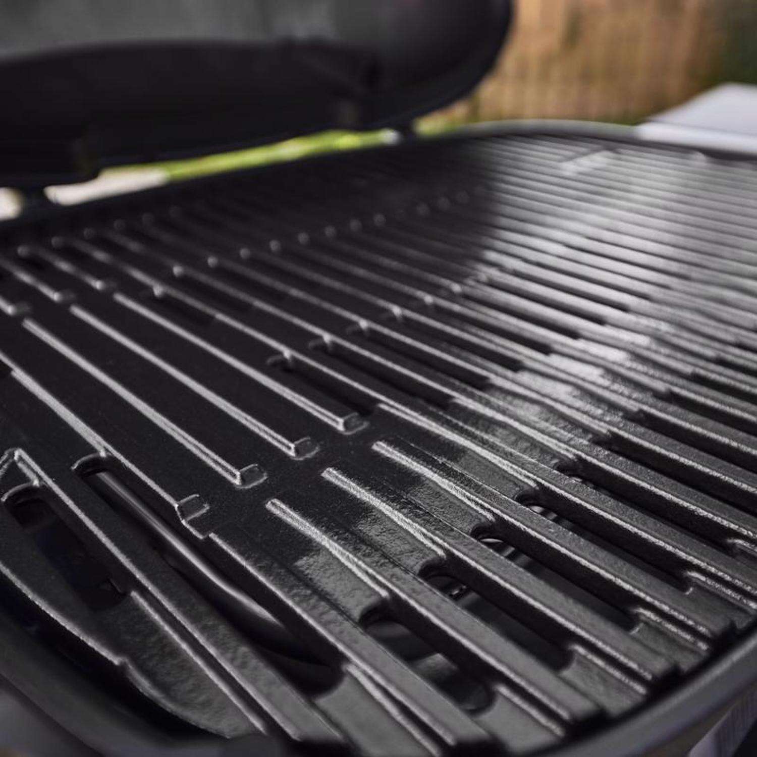 Q 2800N+ w/Cart 2 Burner Grill